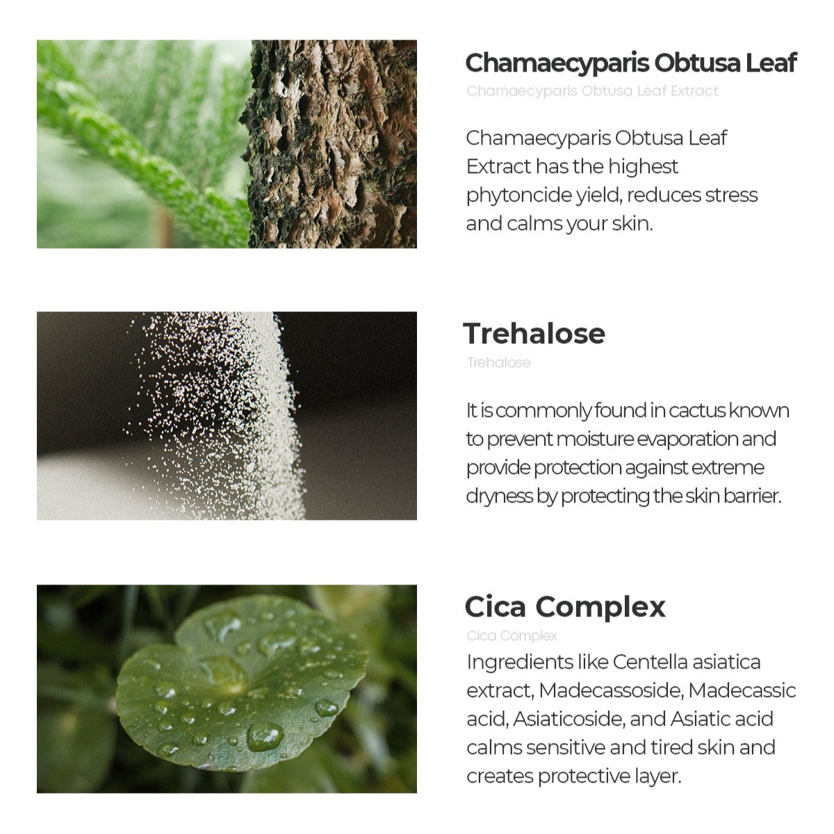 Freeup Peaceful Skin Soothing Pad